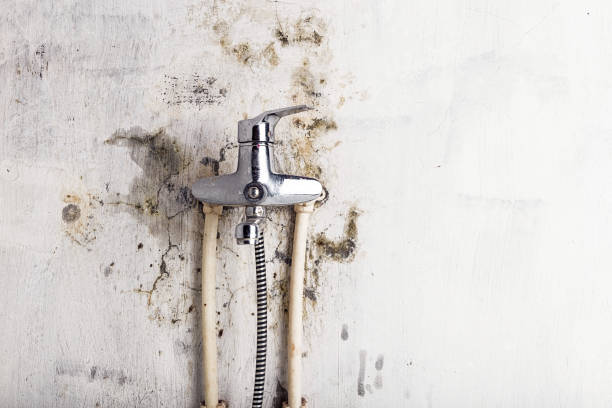 Mold Testing and Removal in Woodlawn Beach, FL