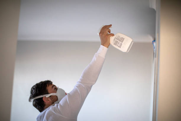 Best Mold Removal Near Me  in Woodlawn Beach, FL