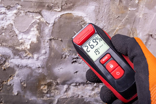 Best Professional Mold Removal  in Woodlawn Beach, FL