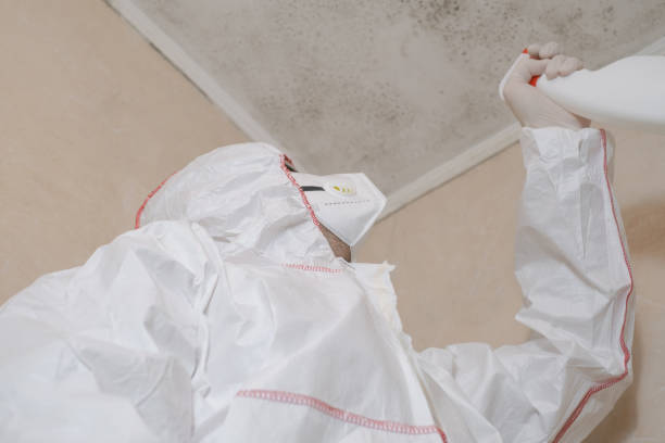 Best Commercial Mold Removal  in Woodlawn Beach, FL