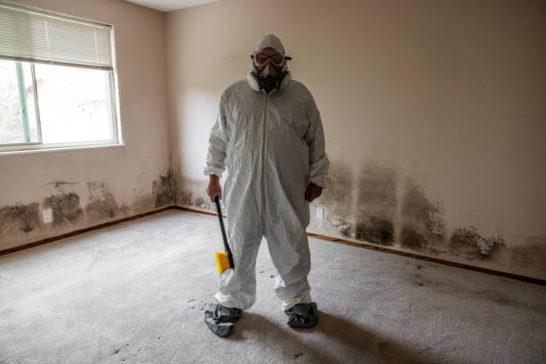 Best Mold Remediation  in Woodlawn Beach, FL